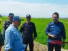 Dirjen Kementan RI,Suwandi Lakukan Pengecekan Lahan Sawah Di Garut