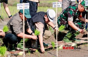 Jaga Stabilitas Pangan, Pj Bupati Ciamis Lakukan Gerakan Tanam Padi di Desa Budiharja Sindangkasih