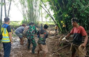 Normalisasi Sungai Citanduy: Sinergi Koramil 1206/PGA, BBWS, dan Warga Tanjungsari untuk Lingkungan Lebih Baik