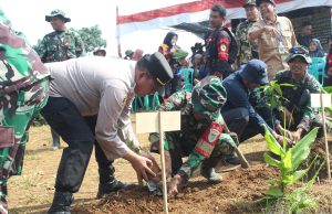 Koramil 1211/Singaparna Gelar Penanaman Bibit Pohon Serentak: Hijaukan Masa Depan Bersama