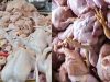 Miris.!! Jelang Idul Fitri, Daging Ayam Tiren Menyebar Di Pasar Kota Tasikmalaya?