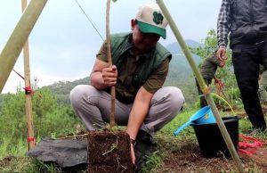 Dalam Rangka 100 Hari Kerja Bupati Dinas Lingkungan Hidup Gelar Penanaman Pohon
