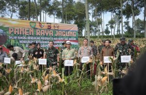 Dukung Program 100 Hari Kerja Bupati, Forkopimda Kabupaten Bandung Panen Raya Jagung di Arjasari