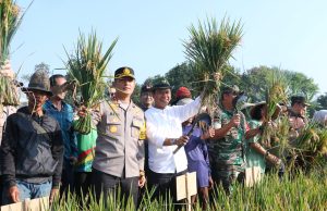 Berkomitmen Dukung Swasembada Pangan Nasional, Kang DS: Penetapan Pembebasan Pajak Lahan Sawah Abadi