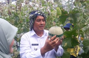 Diky Candra: Petani Milenial Bukti Pertanian Bisa Jadi Penggerak Ekonomi Daerah