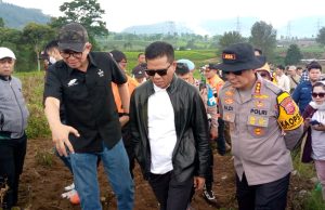 Segera Penjarakan Aktor Utama Yang Bertindak Sebagai Donatur, Rusaknya Lahan PTPN 150 Hektar