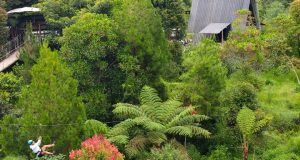 Selain Wisata Alam, Wahana Seru Bisa Dijumpai Di Glamping Likeside