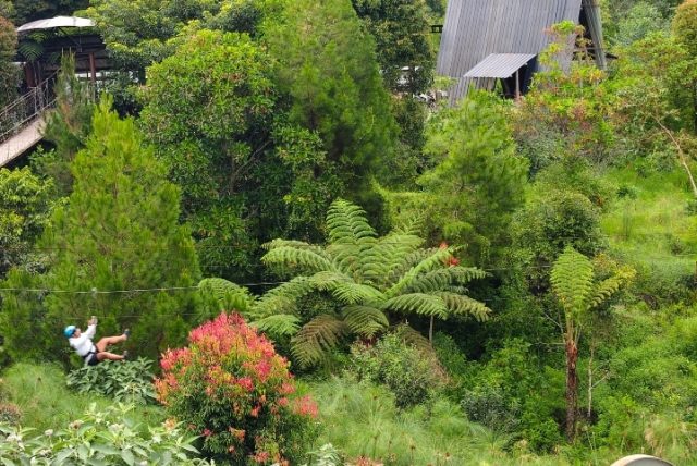 Selain Wisata Alam, Wahana Seru Bisa Dijumpai Di Glamping Likeside