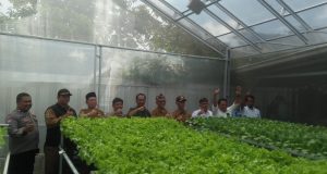 Bumdes Marsela Mahardika Resmikan Green House Hidroponik