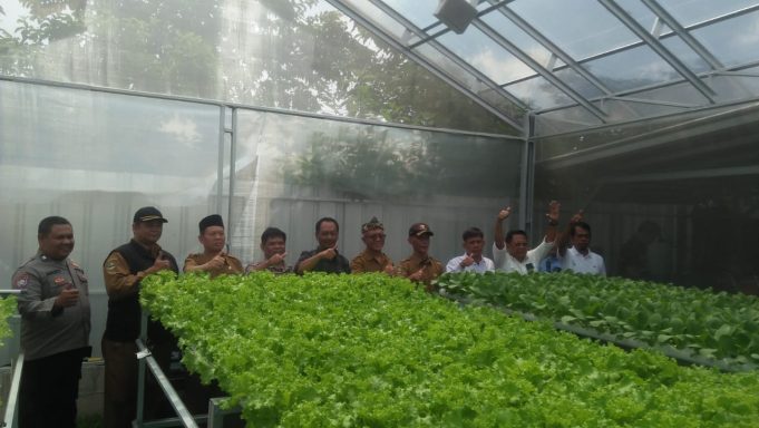 Bumdes Marsela Mahardika Resmikan Green House Hidroponik