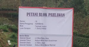 Diduga KDM Dikibuli Oleh Direktur PTPN, Kebun Sayuran Masih Berdiri Normal