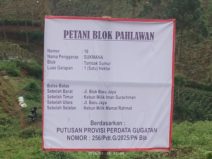 Diduga KDM Dikibuli Oleh Direktur PTPN, Kebun Sayuran Masih Berdiri Normal