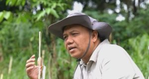 Wabup Tasikmalaya Asep Sopari, Penanaman Pohon, Perkuat Mitigasi Bencana dan Lingkungan Hijau