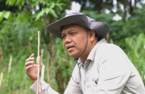 Wabup Tasikmalaya Asep Sopari, Penanaman Pohon, Perkuat Mitigasi Bencana dan Lingkungan Hijau