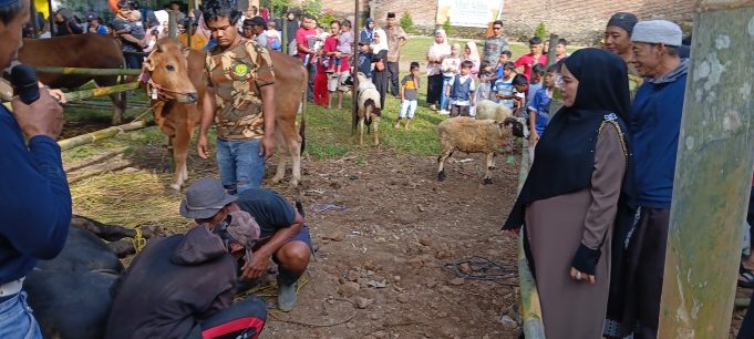 Iduladha Penuh Kebersamaan, Hj Siti Hajar Juharah Berkurban Bersama Warga Cibatur