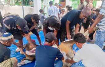Semangat Berbagi di Hari Raya Iduladha, Masjid Nurul Yakin Tabona Sembelih 5 Ekor Sapi Kurban
