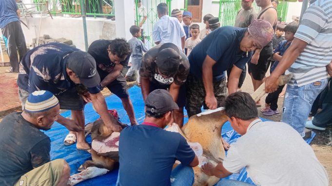 Semangat Berbagi di Hari Raya Iduladha, Masjid Nurul Yakin Tabona Sembelih 5 Ekor Sapi Kurban