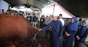 KDS: Bantuan Kurban Presiden Jadi Sejarah Baru bagi Warga Lamajang