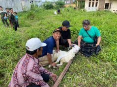 Kepala Desa Cigondewah Hilir Bersama Perangkat Potong Hewan Kurban Kambing