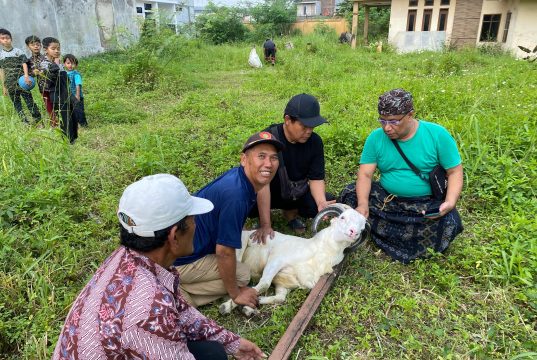 Kepala Desa Cigondewah Hilir Bersama Perangkat Potong Hewan Kurban Kambing