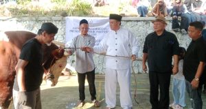 Plh Wali Kota Diky Candra Antar Langsung Bantuan Sapi Presiden ke Gunung Tandala