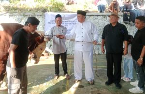 Plh Wali Kota Diky Candra Antar Langsung Bantuan Sapi Presiden ke Gunung Tandala