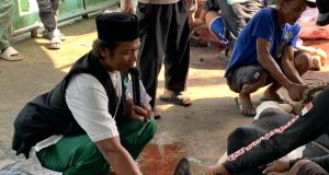 Madrasah Alhasanudin Di Hari Raya Idul Adha 1447 H/2026 Memotong Hewan Kurban 7 Ekor Sapi