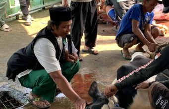 Madrasah Alhasanudin Di Hari Raya Idul Adha 1447 H/2026 Memotong Hewan Kurban 7 Ekor Sapi