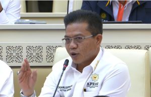 Bupati Bandung Soroti TKD, DBH Panas Bumi, dan Kebutuhan PPPK di RDP DPR RI