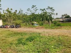 Pembiaran Penggarapan Ilegal Aset Daerah, Bom Waktu Mengancam Keuangan & Wibawa Pemerintah