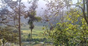 Saluran Irigasi P3A di Kampung Cikaso Bantu Petani dan Ciptakan Lapangan Kerja