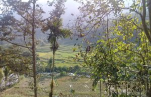 Saluran Irigasi P3A di Kampung Cikaso Bantu Petani dan Ciptakan Lapangan Kerja