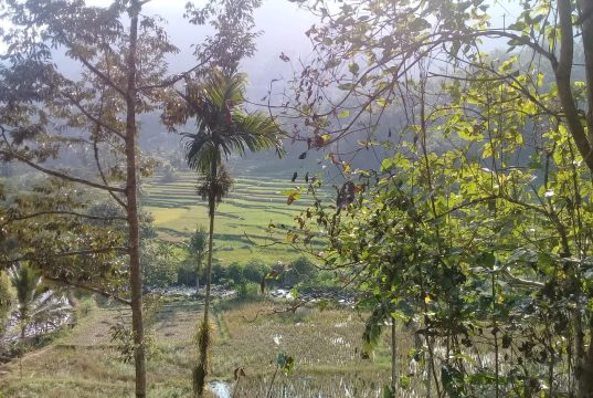 Saluran Irigasi P3A di Kampung Cikaso Bantu Petani dan Ciptakan Lapangan Kerja