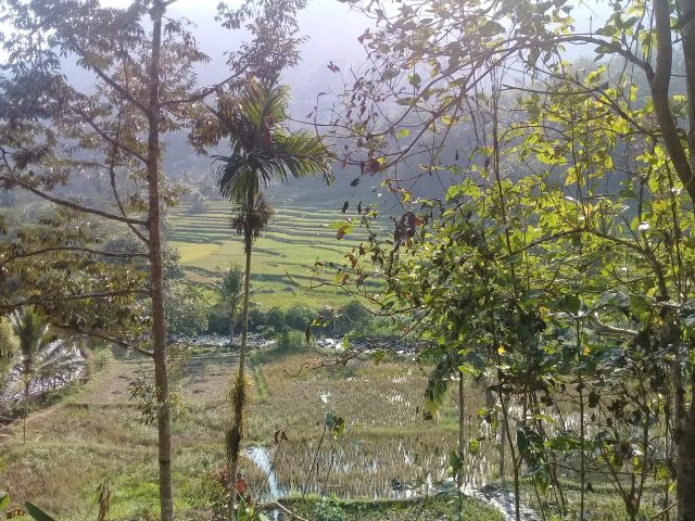 IMG-20260706-WA0049