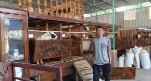 BUMDes Makar Mukti Desa Mekarrahayu Kembangkan Ternak Domba untuk Perkuat Ketahanan Pangan