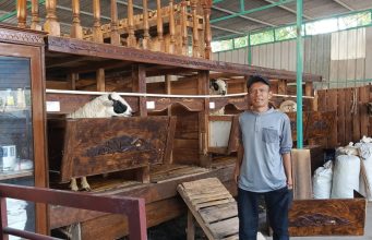 BUMDes Makar Mukti Desa Mekarrahayu Kembangkan Ternak Domba untuk Perkuat Ketahanan Pangan